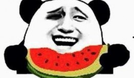 吃瓜群众 吃瓜视频天堂,揭秘吃瓜视频天堂背后的故事