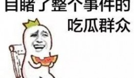 吃瓜群众 吃瓜视频天堂,揭秘吃瓜视频天堂背后的故事